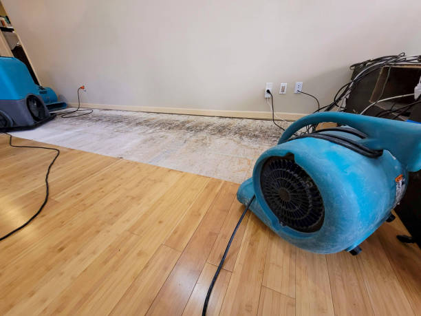 Professional Flood Damage Cleanup technician working in Panhandle, TX